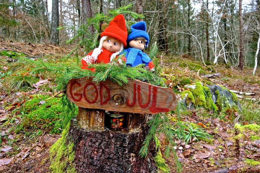 Jul i Heimarnæsskogen Foto: Ulrik S