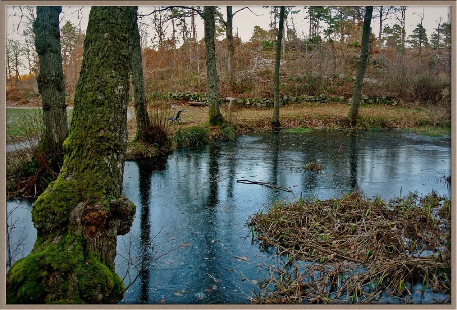 Tjernet på Heimarnæs Foto: Dag Henriksen