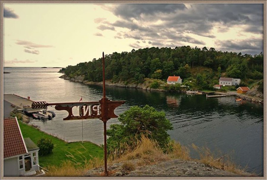 Flødevigen sommer 2013. Foto Dag Henriksen